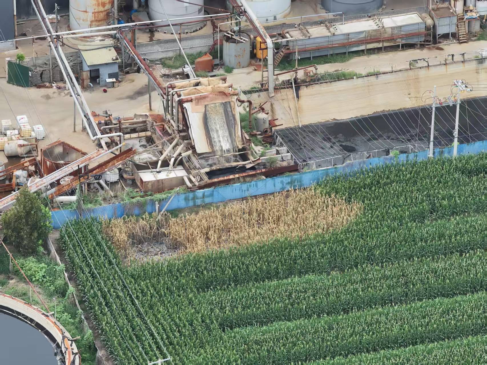 河北柏乡:造纸厂污水外排大片农作物致死引关注<strong></p>
<p>虚拟币板块股票</strong>！
