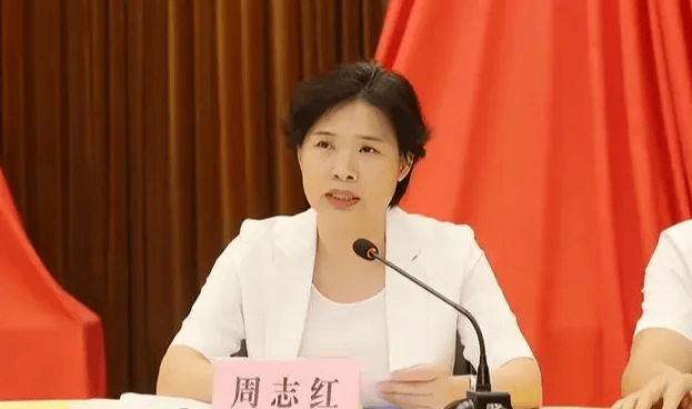中共中央批准<strong></p>
<p>火币交易网站</strong>，开除周志红党籍