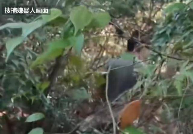 湖南一男子发疯行凶致3死1伤<strong></p>
<p>虚拟币委托价低了</strong>，研究生制止被刺身亡