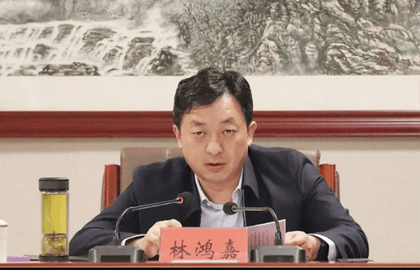鹤壁市委常委、常务副市长林鸿嘉落马<strong></p>
<p>钱包</strong>，一个月前被罢免