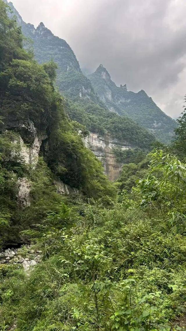 90后杨东东夺得荒野求生挑战赛冠军<strong></p>
<p>人民币买虚拟币网站</strong>，每顿饭都会吃点老鼠，获10万奖金，比赛前后对比照曝光