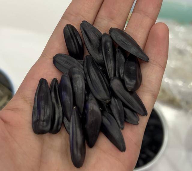 紫色向日葵、多彩胡萝卜、双色火龙果亮相青岛<strong></p>
<p>虚拟币天王</strong>，种子盛会变身“未来食物实验室”