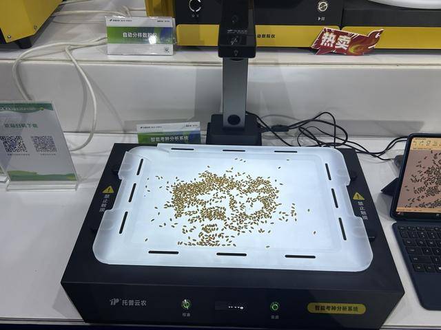 紫色向日葵、多彩胡萝卜、双色火龙果亮相青岛<strong></p>
<p>虚拟币天王</strong>，种子盛会变身“未来食物实验室”