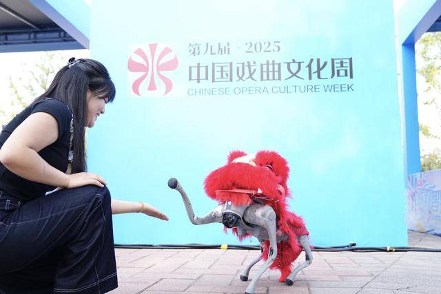 第九届中国戏曲文化周开幕<strong></p>
<p>irc虚拟币交易</strong>，北京园博园化身戏曲百花园