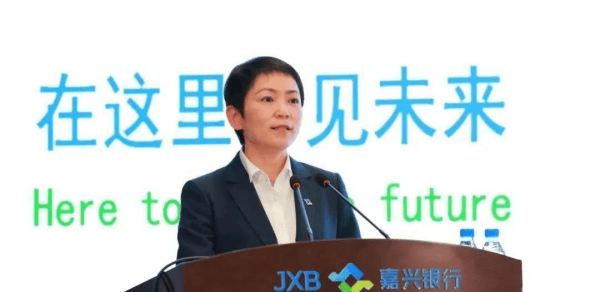 嘉兴银行人事“地震”<strong></p>
<p>虚拟币挖矿芯片</strong>，业绩承压下女行长临危受命