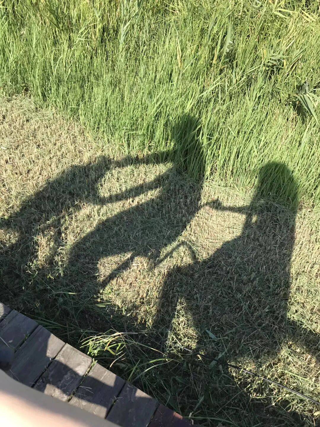纸质火车票退场<strong></p>
<p>虚拟币挖矿芯片</strong>，每道折痕里都藏着远方、爱情与山河记忆