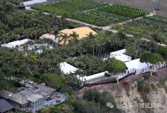 无意还是戏精？她办婚礼<strong></p>
<p>虚拟币模拟交易</strong>，分手多年的他隔空说“我愿意”？