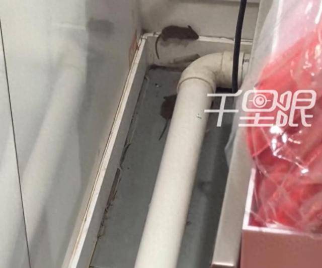 网曝蜜雪冰城一门店有多只老鼠横行<strong></p>
<p>虚拟币模拟交易</strong>，涉事门店员工回应