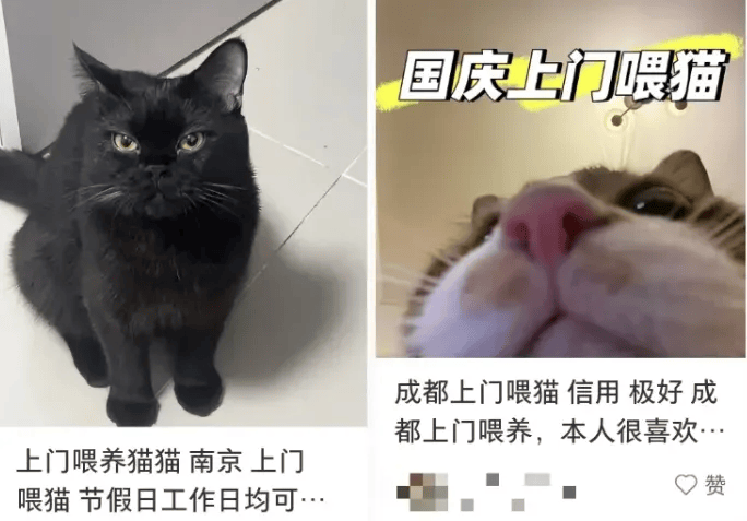 这个需求激增！一男子连接270单<strong></p>
<p>虚拟币实力排名</strong>，其中一笔收费8100元