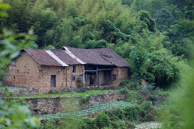 没人住的房子<strong></p>
<p>虚拟币实力排名</strong>，为什么会“老”得特别快？