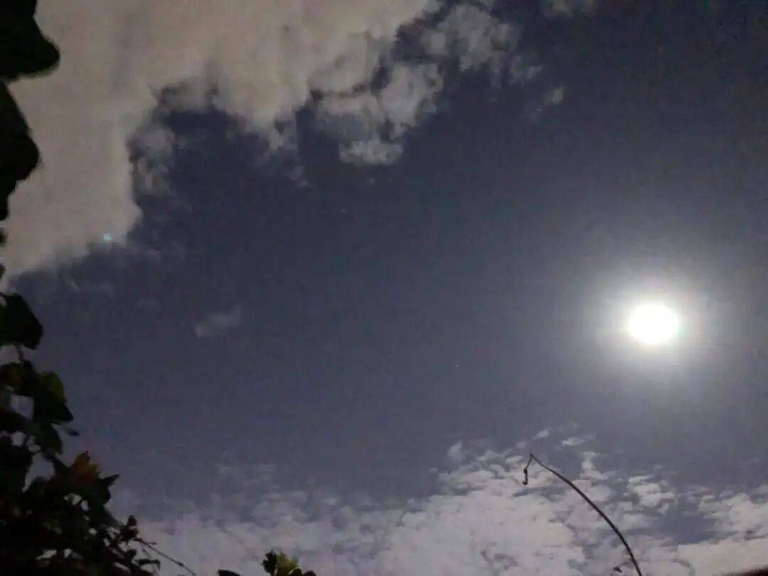 没有什么能阻挡！今天<strong></p>
<p>虚拟币实力排名</strong>，广西人就是要回家！