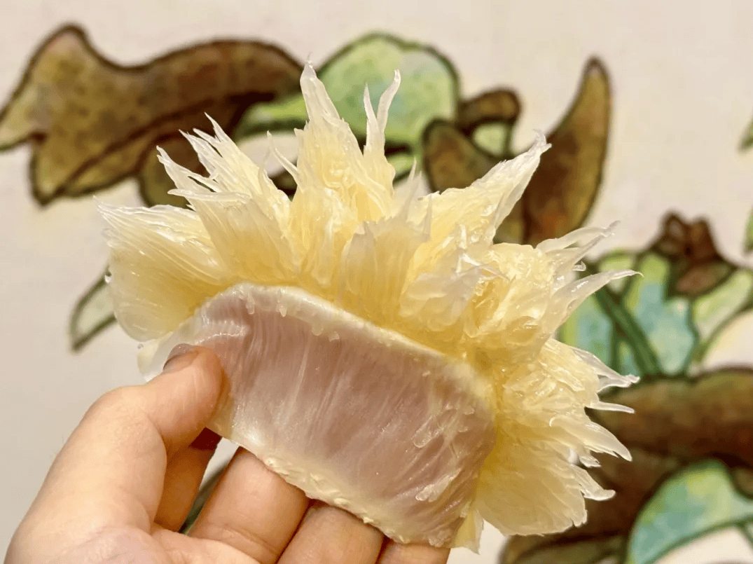 没有什么能阻挡！今天<strong></p>
<p>虚拟币实力排名</strong>，广西人就是要回家！