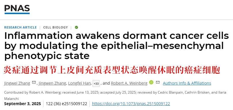 长期炎症会“唤醒”癌细胞<strong></p>
<p>虚拟币实力排名</strong>！这份抗炎指南每个人都该看看