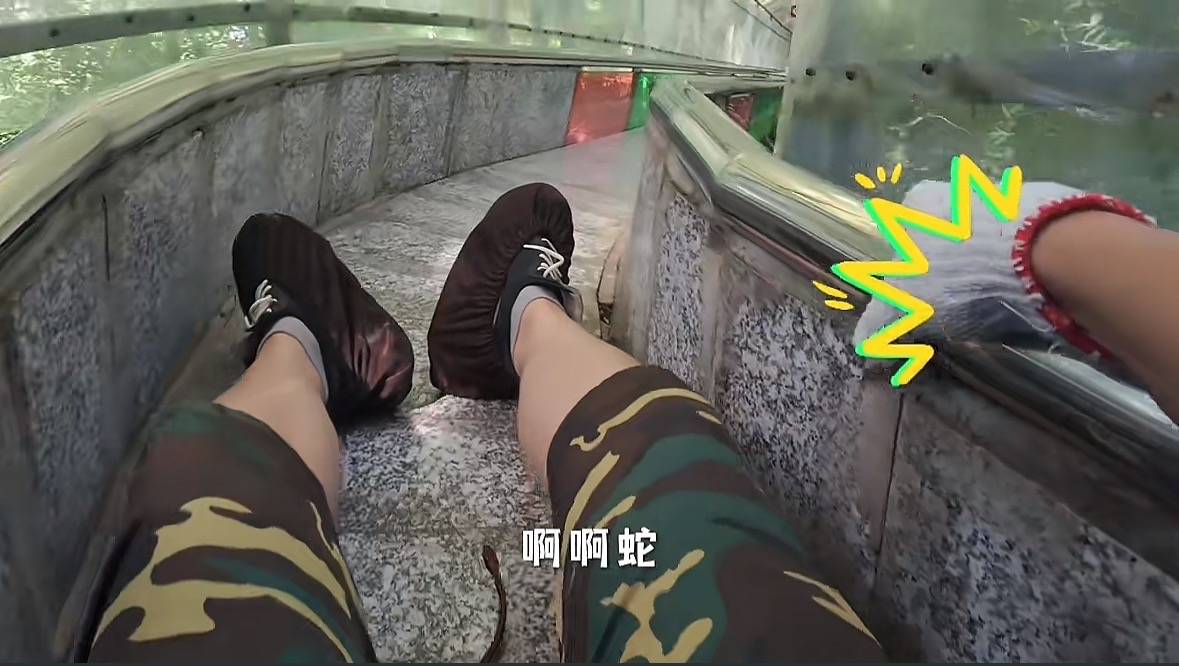 游客称在广西丹炉山滑道遇蛇<strong></p>
<p>如何炒波段虚拟币</strong>，景区致歉：这么多年就这一次，每年都做防蛇处理