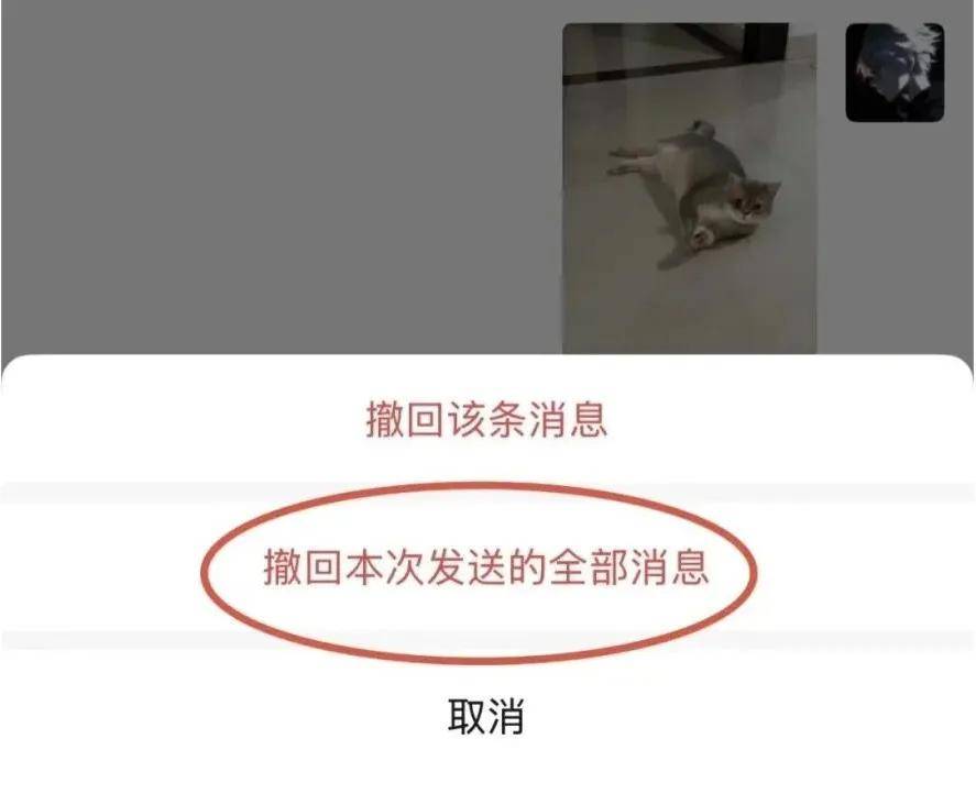 传宗馥莉被带走<strong></p>
<p>如何炒波段虚拟币</strong>，娃哈哈董事会成员回应；资深天使投资人因车祸不幸离世；微信灰度测试一次性撤回全部消息；鸡排哥疑似成立工作室丨邦早报