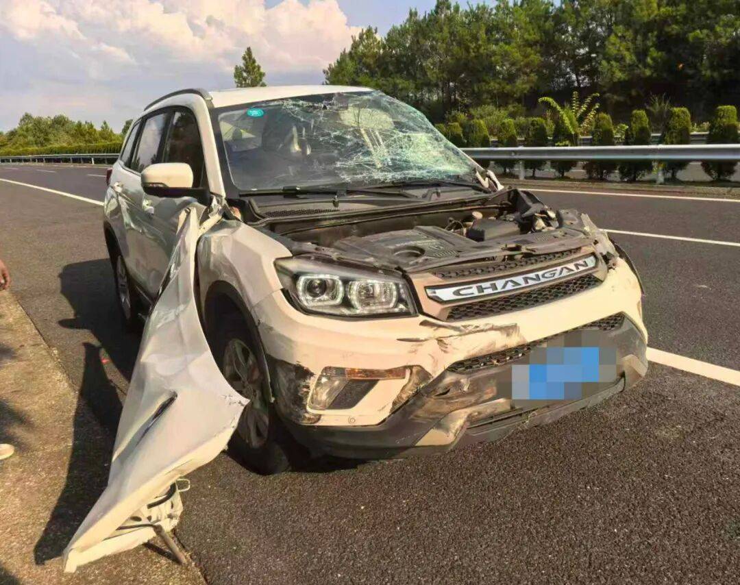“我撒谎天打雷劈！”男子高速突然强行变道致翻车<strong></p>
<p>edu</strong>，反诬赖对方