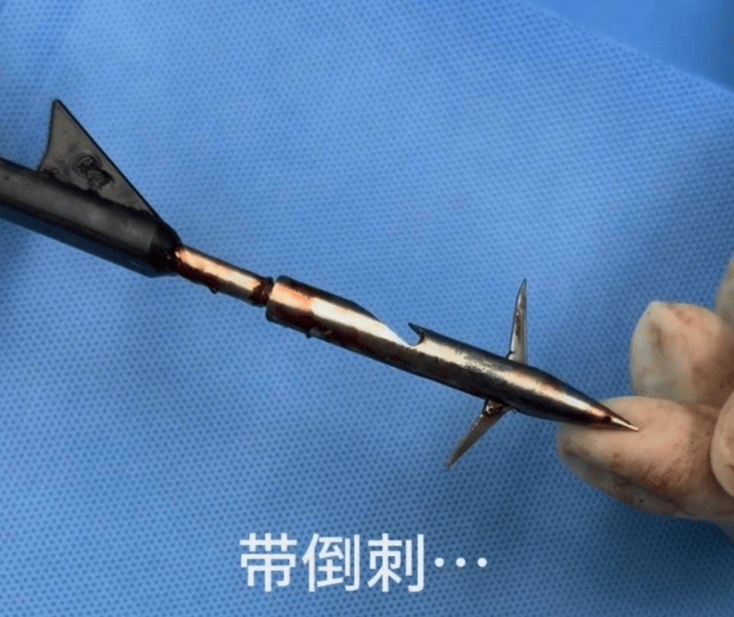 教育局回应“一教师用弓箭射杀小狗”：不实<strong></p>
<p>edu</strong>，小狗进学校前就被射伤