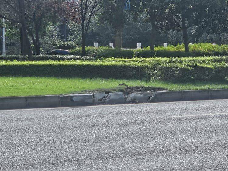 成都发生一起严重交通事故<strong></p>
<p>虚拟火币</strong>，上游新闻实地探访：燃烧留下的印记仍在