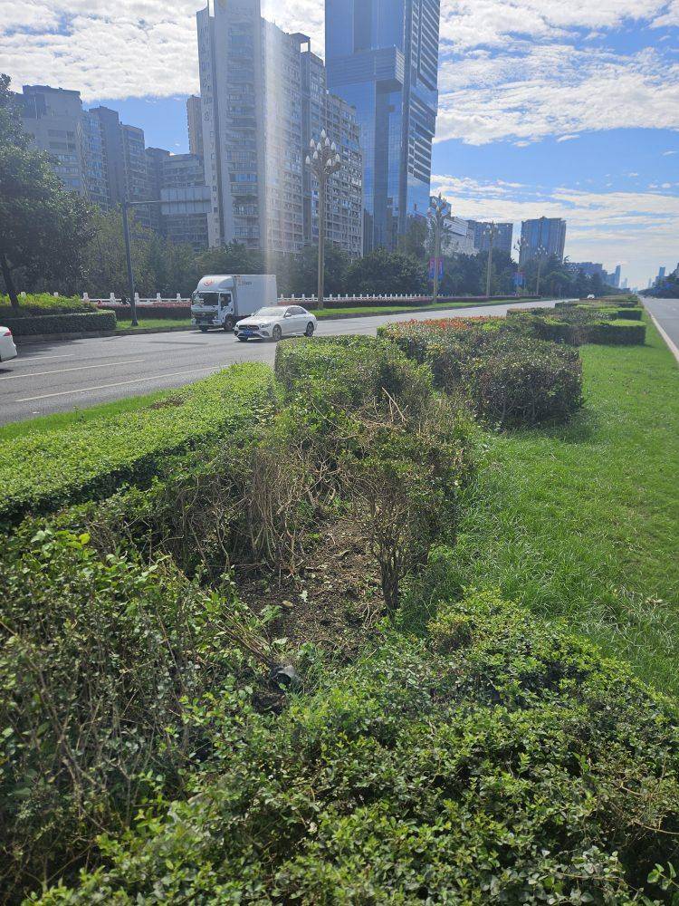 成都发生一起严重交通事故<strong></p>
<p>虚拟火币</strong>，上游新闻实地探访：燃烧留下的印记仍在
