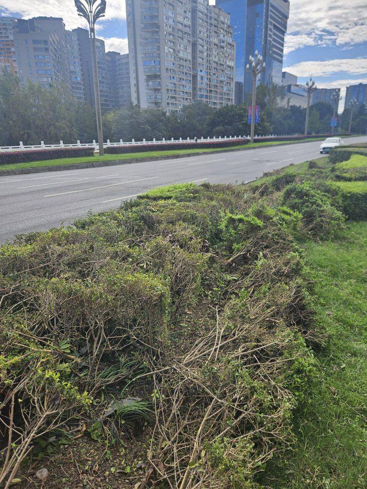 成都发生一起严重交通事故<strong></p>
<p>虚拟火币</strong>，上游新闻实地探访：燃烧留下的印记仍在
