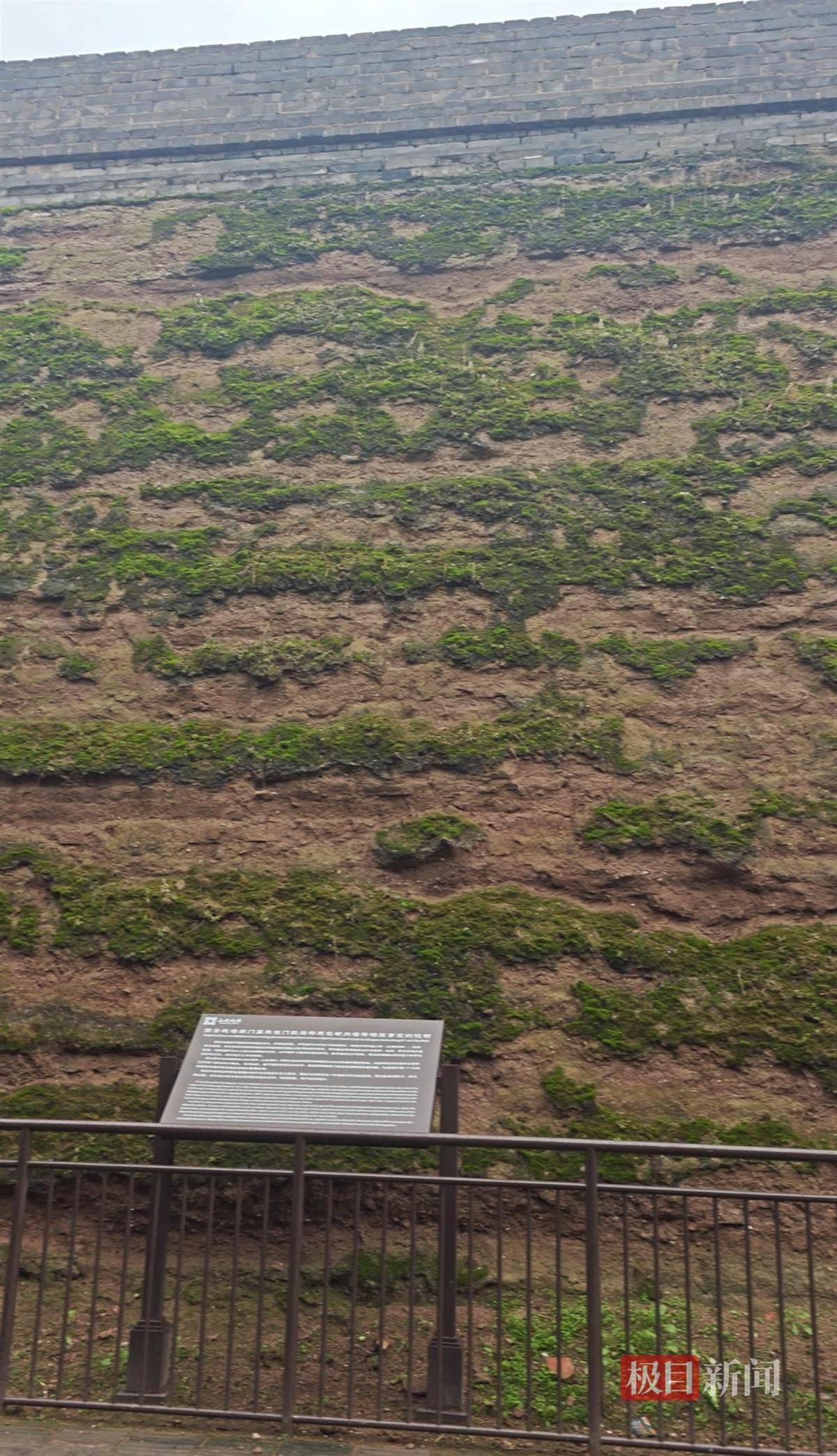 西安连续一个多月降雨遍地长蘑菇<strong></p>
<p>虚拟火币</strong>，大雁塔受潮，城墙布满青苔，气象局解释成因
