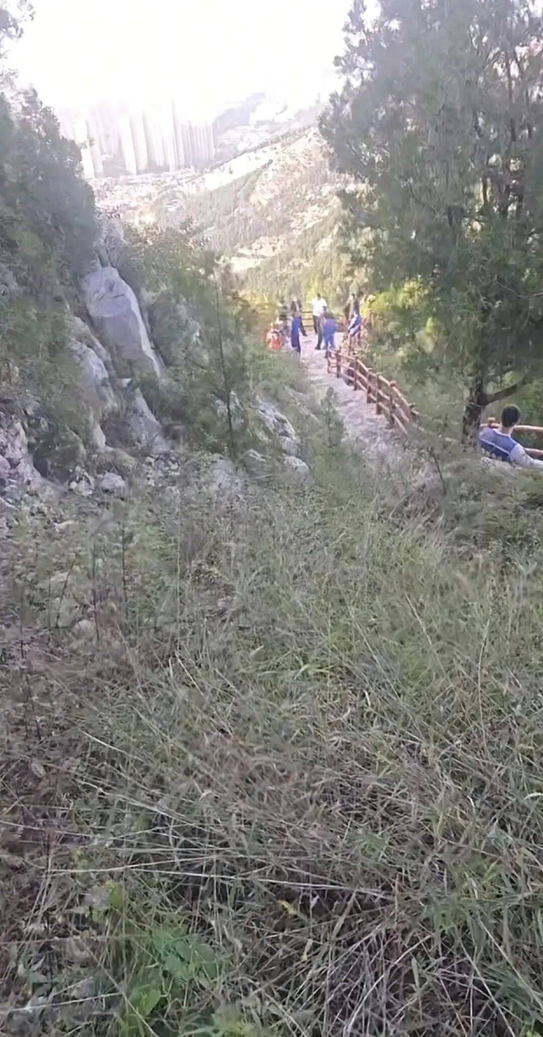 刚刚证实：苏某某已身亡<strong></p>
<p>诺贝尔币虚拟货币发行</strong>，年仅29岁！遗体在离家2公里处……