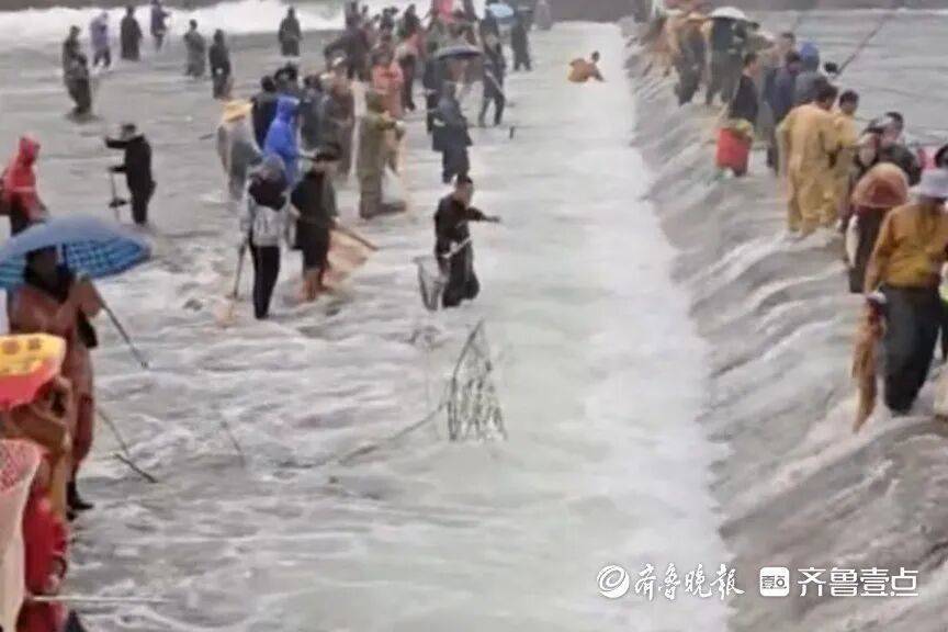 “鱼多得数不过来<strong></p>
<p>诺贝尔币虚拟货币发行</strong>，一网子下去能捞好几条”济南锦绣川水库开闸放水，大量鲢鱼被冲出，工作人员：禁止捕捞！