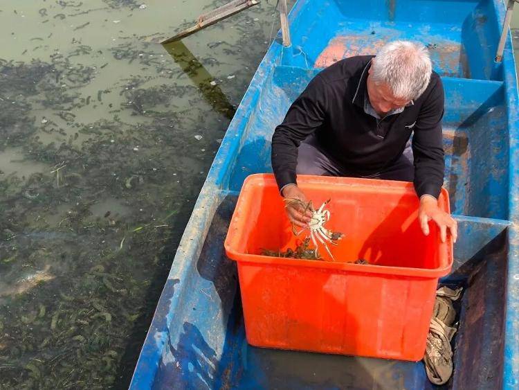 武汉江夏一地大闸蟹大量上市<strong></p>
<p>虚拟货币炒币经验</strong>，日产1000斤当天售完，每只螃蟹有自己的“身份证”，吃深海小黄鱼长大