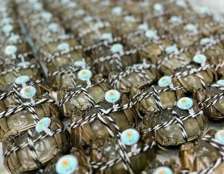 武汉江夏一地大闸蟹大量上市<strong></p>
<p>虚拟货币炒币经验</strong>，日产1000斤当天售完，每只螃蟹有自己的“身份证”，吃深海小黄鱼长大