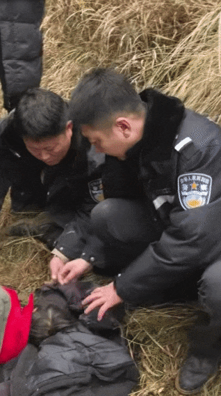 辽宁4岁女童称睡醒后自行下车<strong></p>
<p>人民比怎么买虚拟币</strong>，迷路后睡在草地，期间无人接触；其母发声
