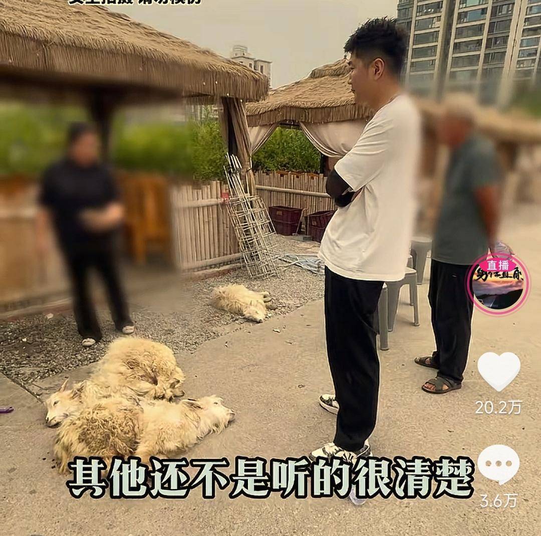 60斤活羊实际只有30多斤<strong></p>
<p>人民比怎么买虚拟币</strong>！博主打假重庆两家烤全羊店获“退一赔三”