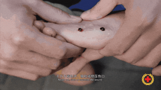 女子半夜上厕所<strong></p>
<p>虚拟币软搬砖</strong>，马桶里突然窜出一条蛇！