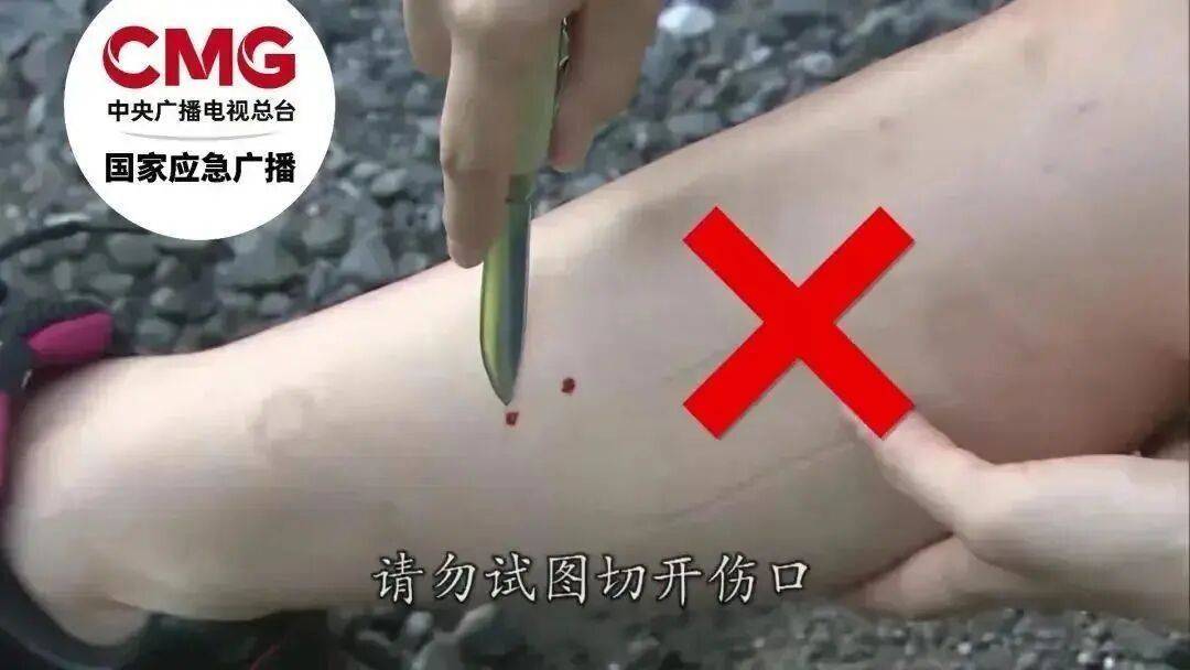 女子半夜上厕所<strong></p>
<p>虚拟币软搬砖</strong>，马桶里突然窜出一条蛇！