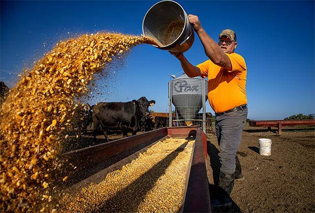 又输给了李成钢<strong></p>
<p>虚拟币发行风险</strong>，贝森特承诺：美方不再考虑对华加征100%关税