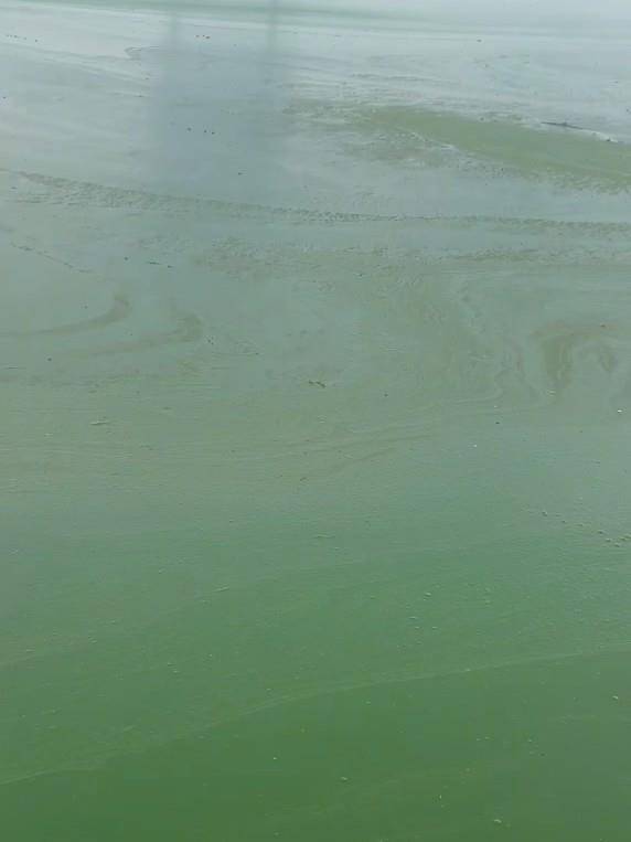 昆明滇池部分水域变绿有异味<strong></p>
<p>虚拟币发行风险</strong>，管理局：特定气候下出现轻度水华，已处理控制