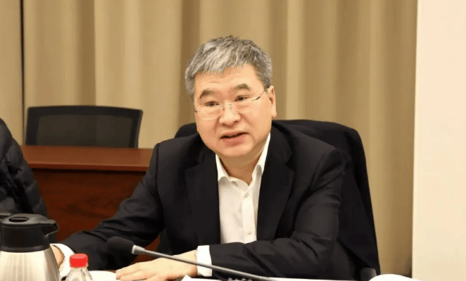 中共中央批准<strong></p>
<p>虚拟币发行风险</strong>，开除陆文俊党籍