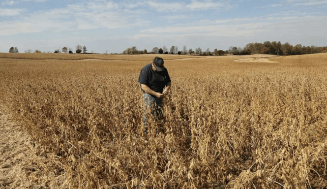 谈妥了又突然变卦!中国复购美国大豆换关税暂停<strong></p>
<p>网站虚拟币对接钱包</strong>,美贸易代表直接通告全球:继续查中国