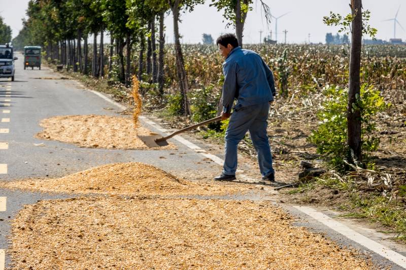 阴雨50天<strong></p>
<p>根源链虚拟币上火币</strong>,他用3200块救回30万斤玉米