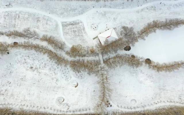 百年难遇“早立冬”来了<strong></p>
<p>虚拟币ebt</strong>！有啥讲究？早看早准备！