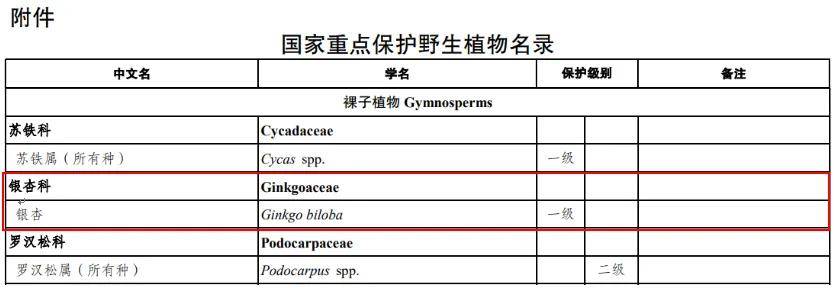 满大街都是银杏树<strong></p>
<p>xvg虚拟币价格</strong>，为什么还是濒危物种？