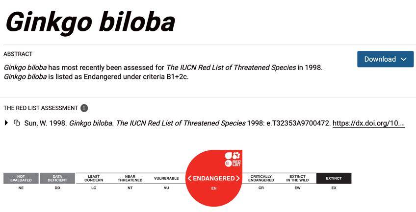 满大街都是银杏树<strong></p>
<p>xvg虚拟币价格</strong>，为什么还是濒危物种？