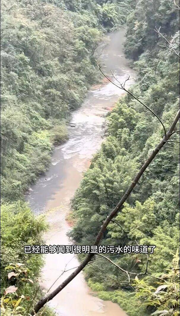 重庆通报：坚决查处<strong></p>
<p>主流虚拟币</strong>，绝不姑息