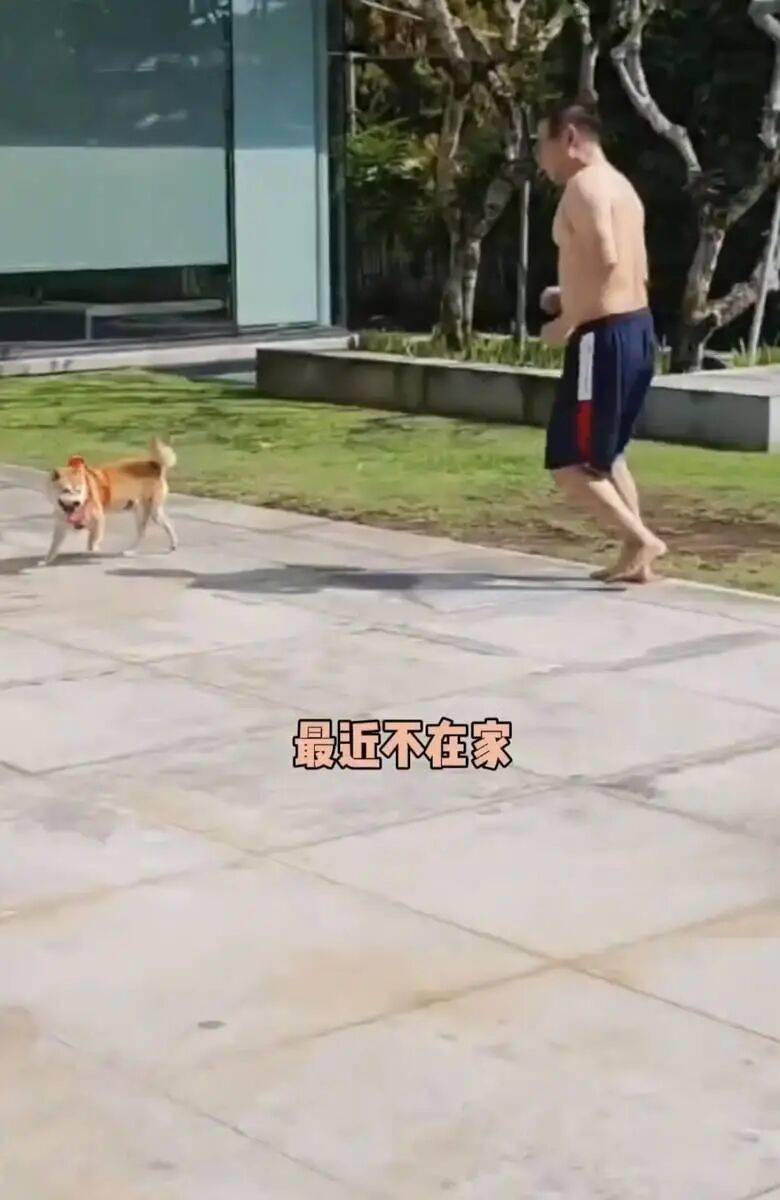 考古|李连杰晒游泳照状态重返巅峰!武打多年受伤频繁又患甲亢<strong></p>
<p>虚拟币套利交易软件</strong>,功夫皇帝一路走来太不易