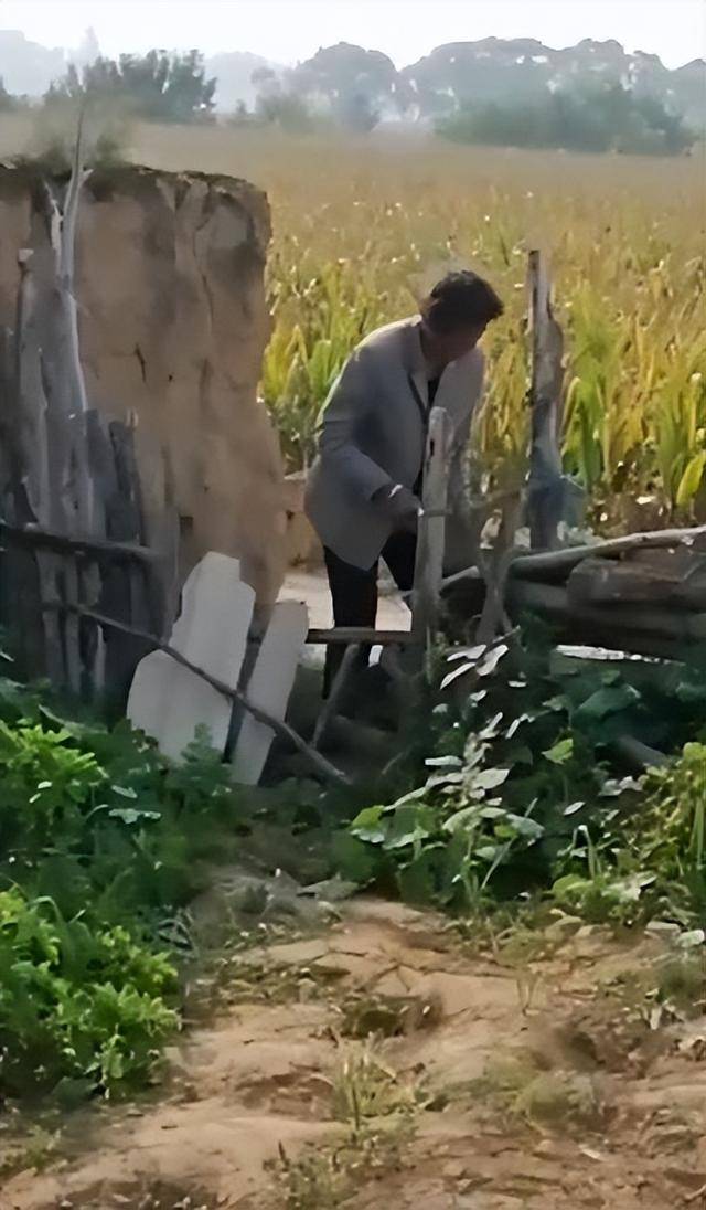 女子疑因拍亲姑姑偷玉米遭姑父棍杀<strong></p>
<p>虚拟币中逆市</strong>，邻居欲报警也遇害