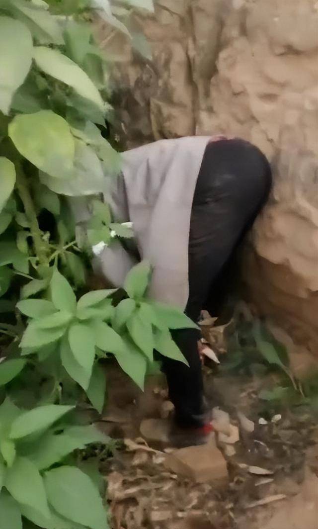 女子疑因拍亲姑姑偷玉米遭姑父棍杀<strong></p>
<p>虚拟币中逆市</strong>，邻居欲报警也遇害