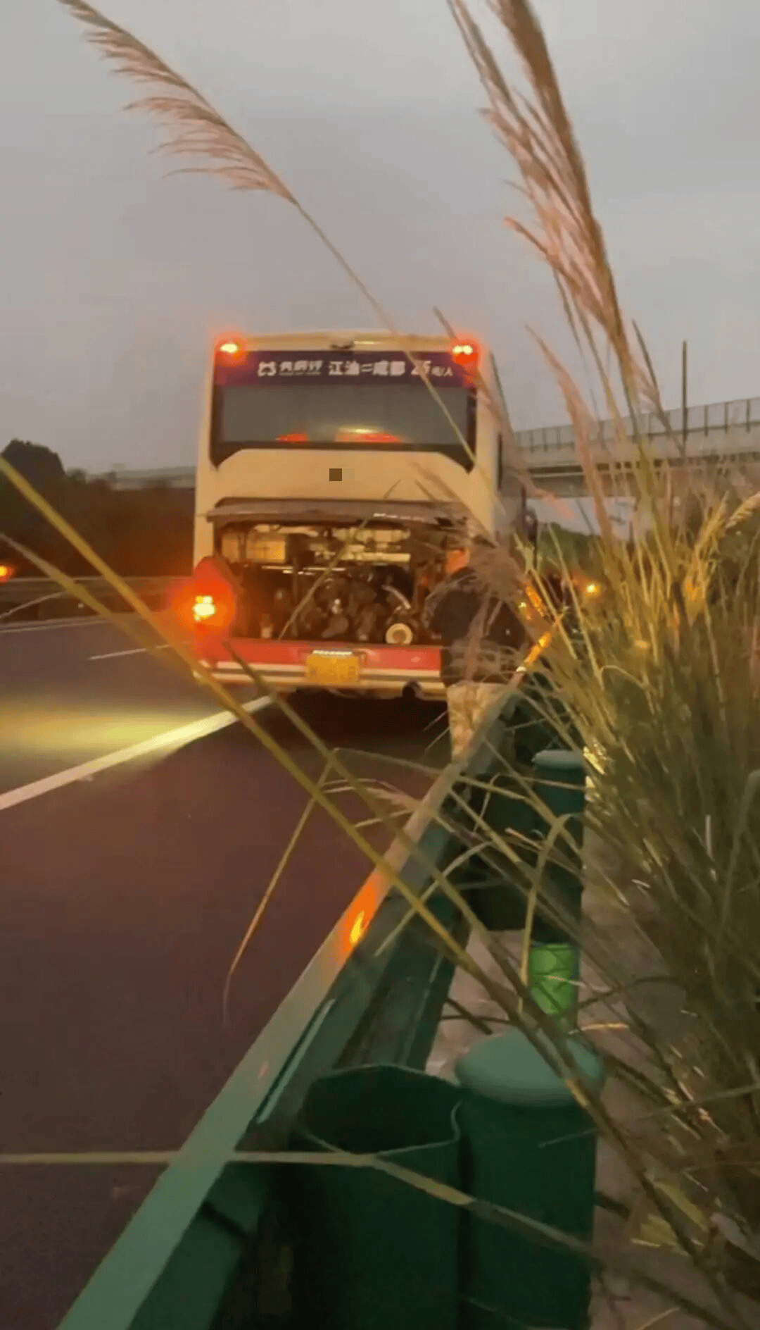 48名乘客被困高速2.5小时<strong></p>
<p>虚拟币中逆市</strong>！运营公司致歉