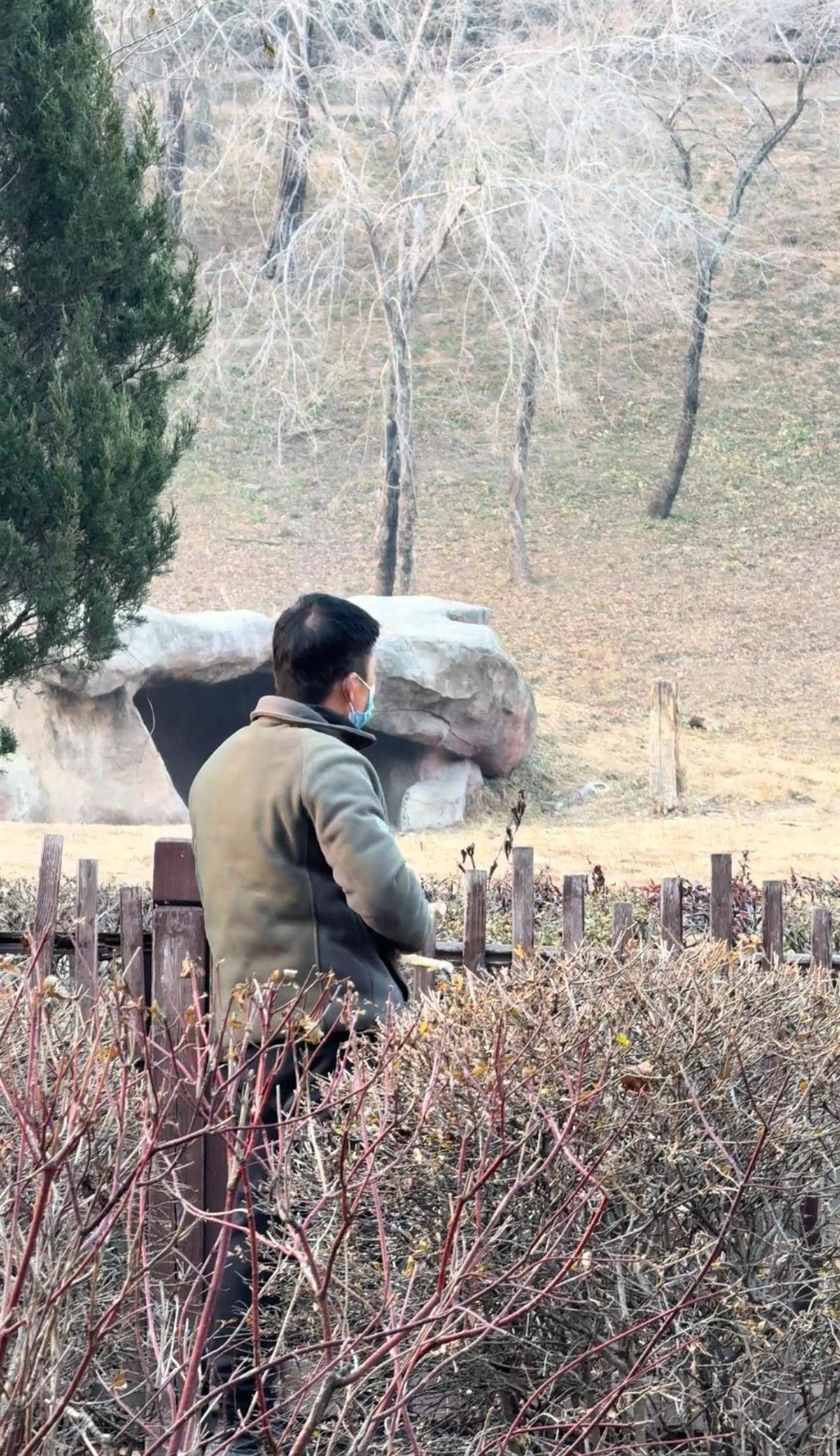 沈阳一男子动物园内用弹弓射老虎<strong></p>
<p>在哪个app买虚拟币</strong>,目击者称其“填装了弹丸”,打完后老虎爬起来了,园方:正在核实情况