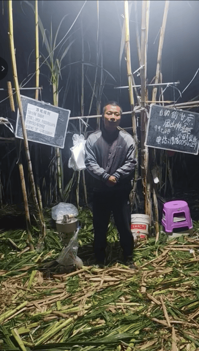 四川眉山自助“偷甘蔗”老板称有人只“偷”不给钱<strong></p>
<p>在哪个app买虚拟币</strong>，当地文旅：已安排人员现场协调