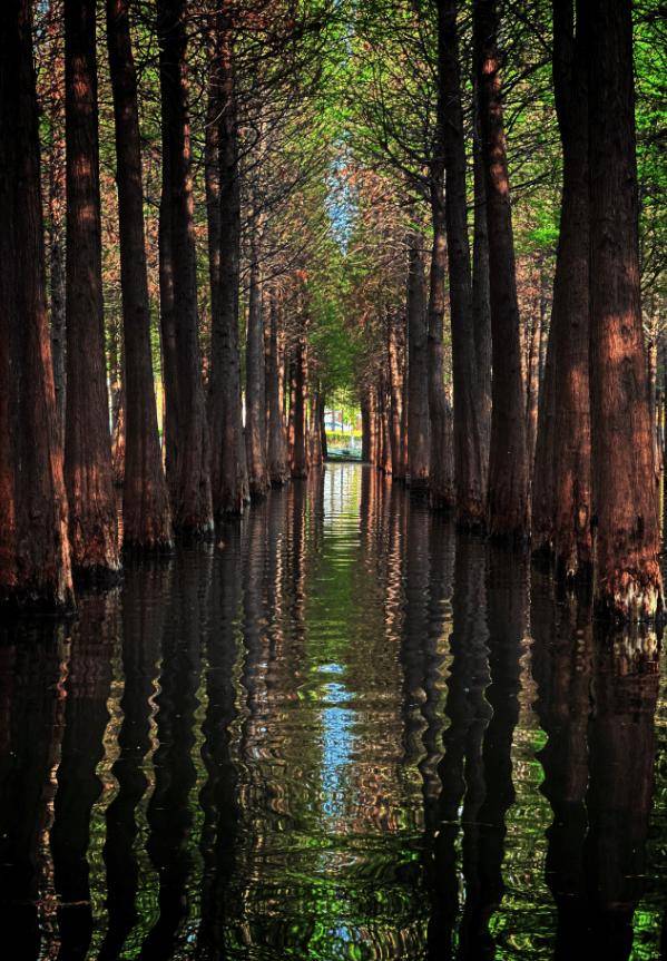 跟着赛事游昆明｜一路景观如画<strong></p>
<p>在哪个app买虚拟币</strong>！2025上合昆明马拉松路线图最新公布→