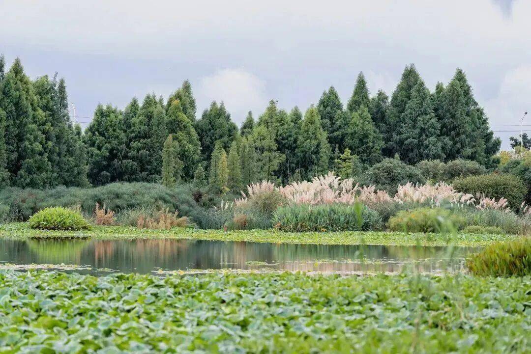 跟着赛事游昆明｜一路景观如画<strong></p>
<p>在哪个app买虚拟币</strong>！2025上合昆明马拉松路线图最新公布→